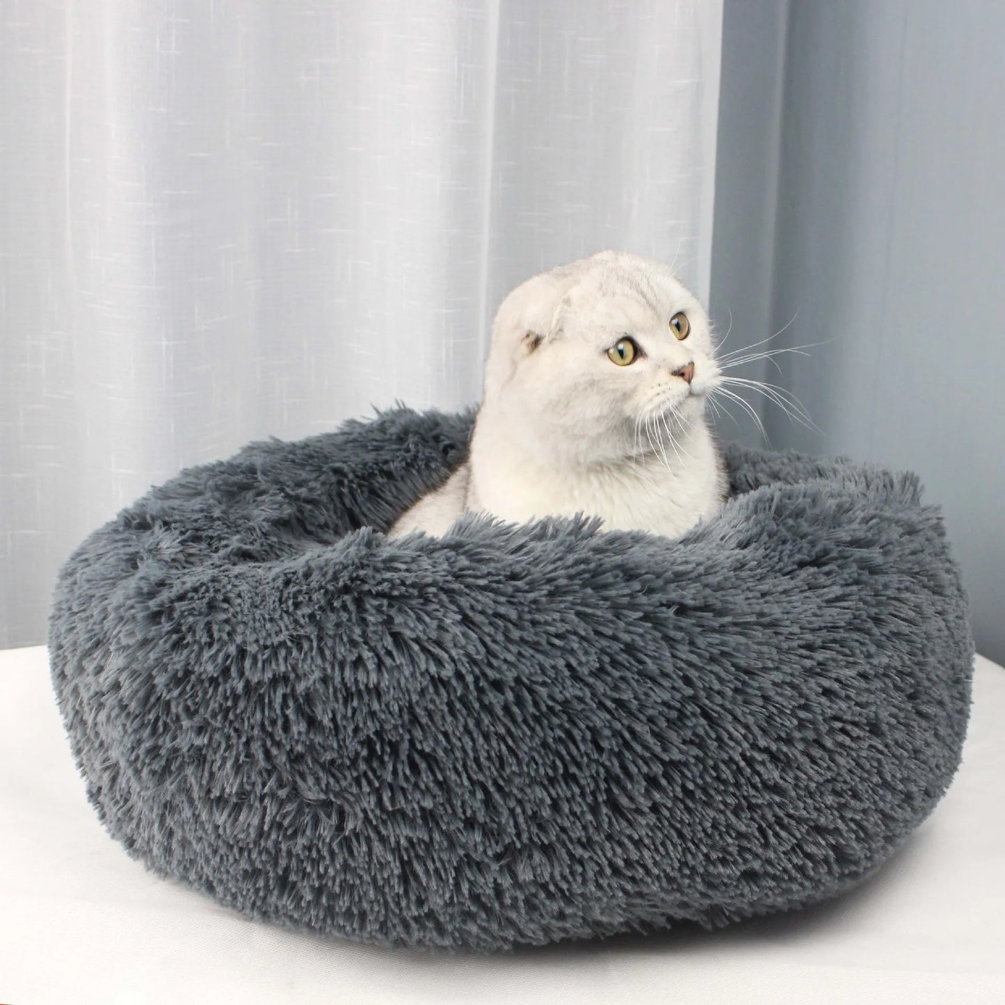 Coussin pour chat