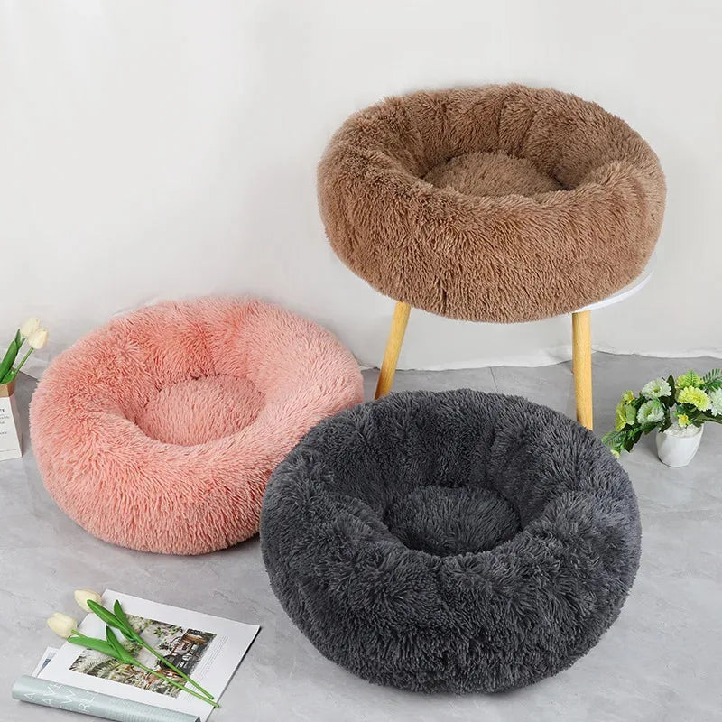 Coussin pour chat