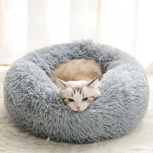 Coussin pour chat