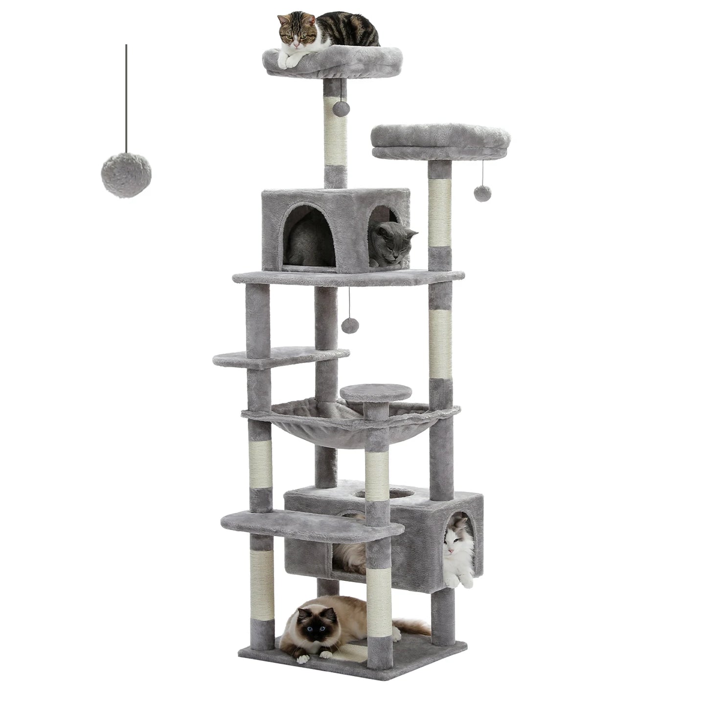 Arbre à chat