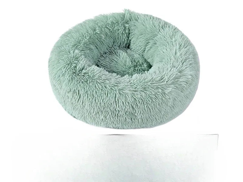 Coussin pour chat