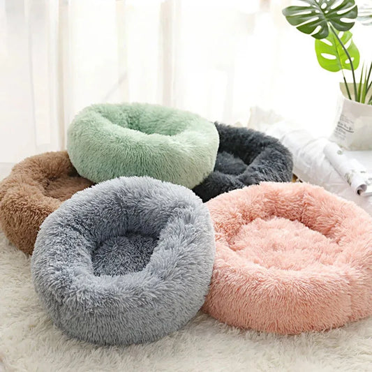 Coussin pour chat