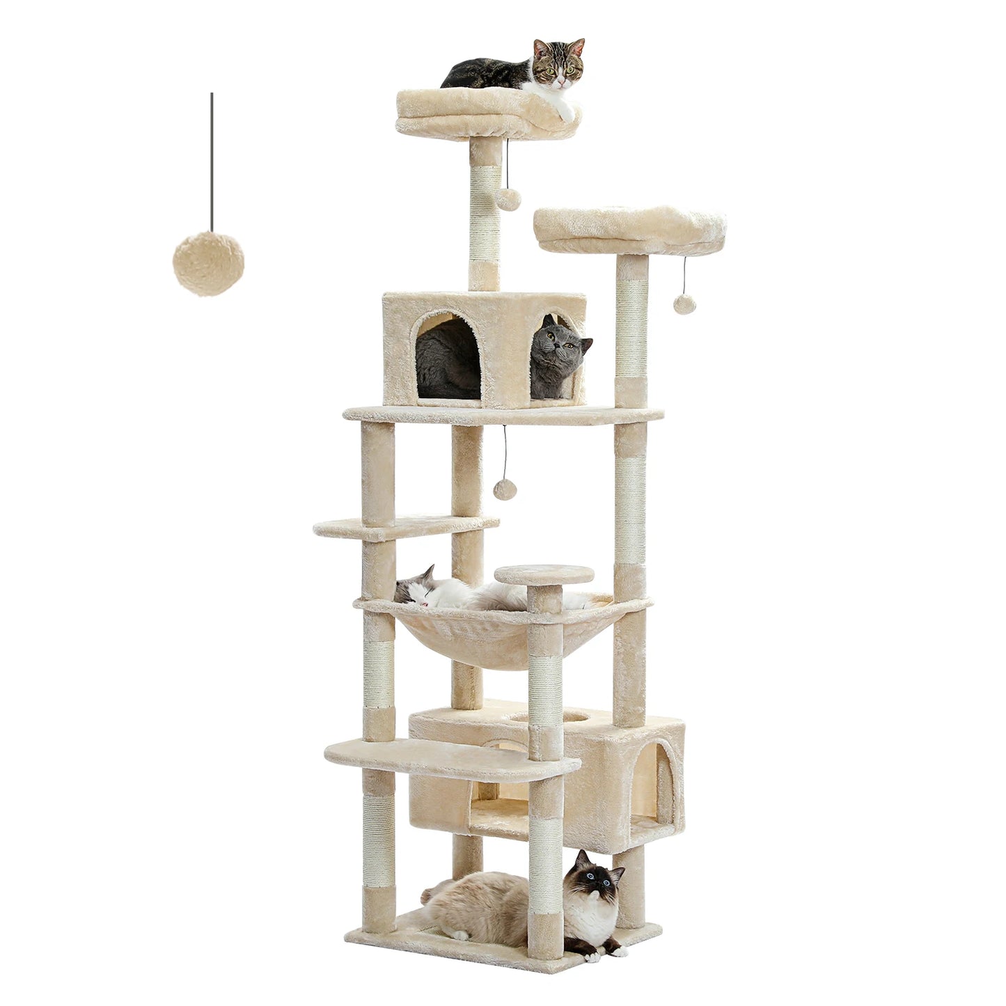 Arbre à chat