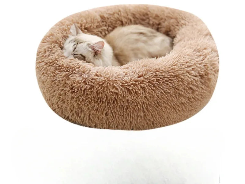 Coussin pour chat