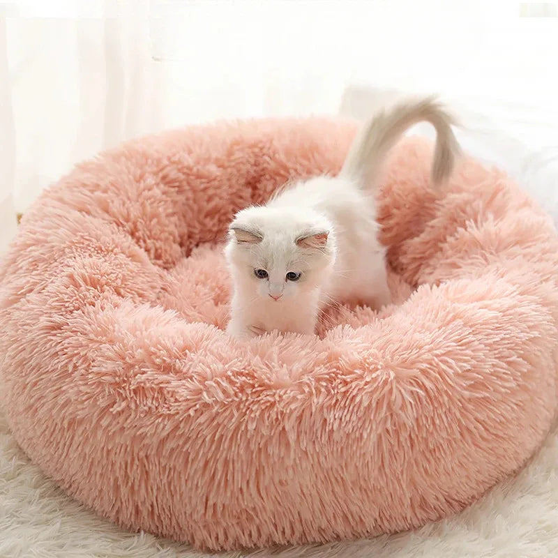 Coussin pour chat