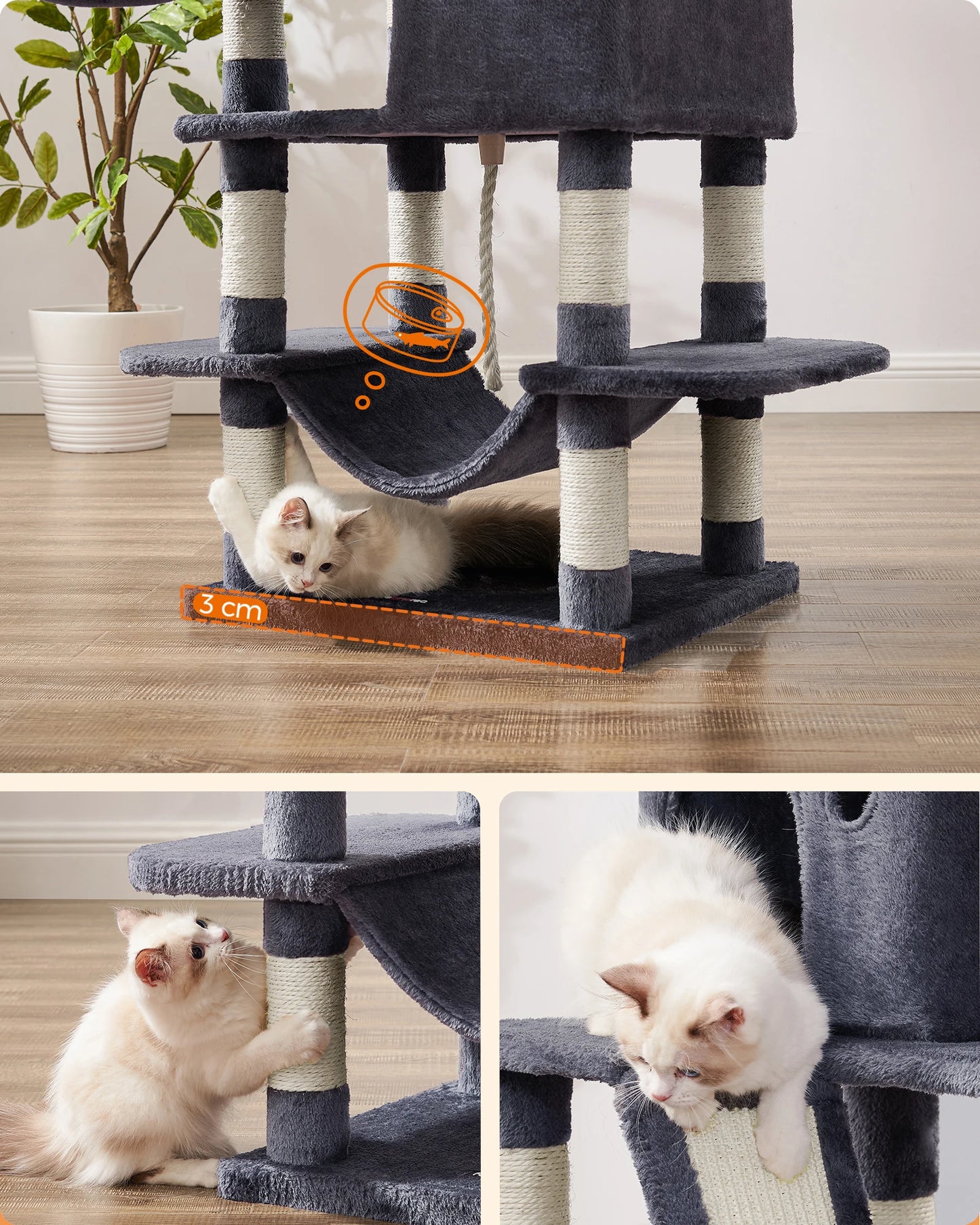 Arbre a chat